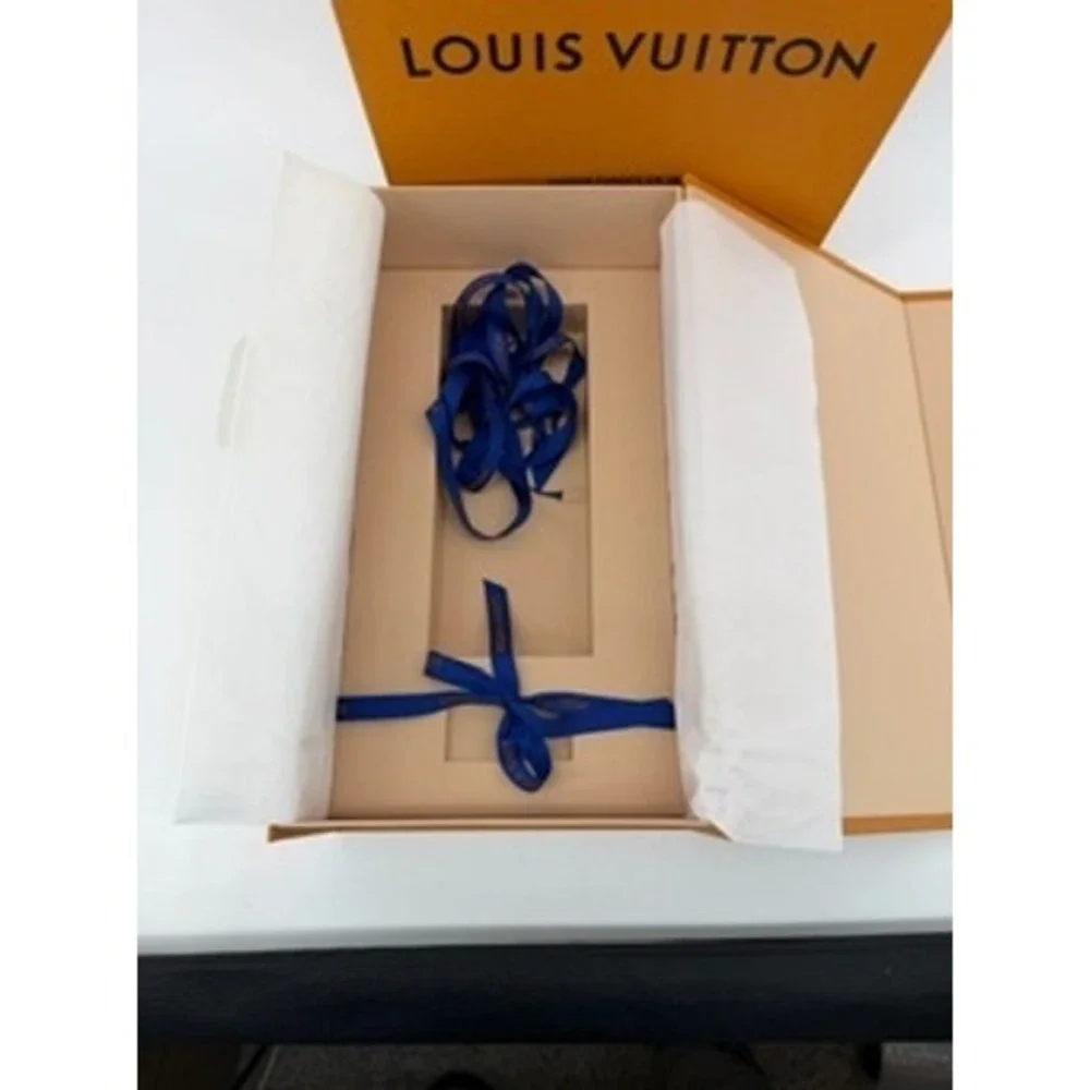 Louis Vuitton authentic louis